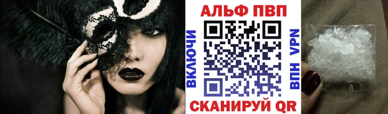 Alfa_PVP СК  Череповец 