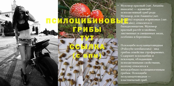мефедрон мука Бугульма