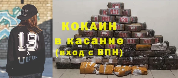 стафф Бородино